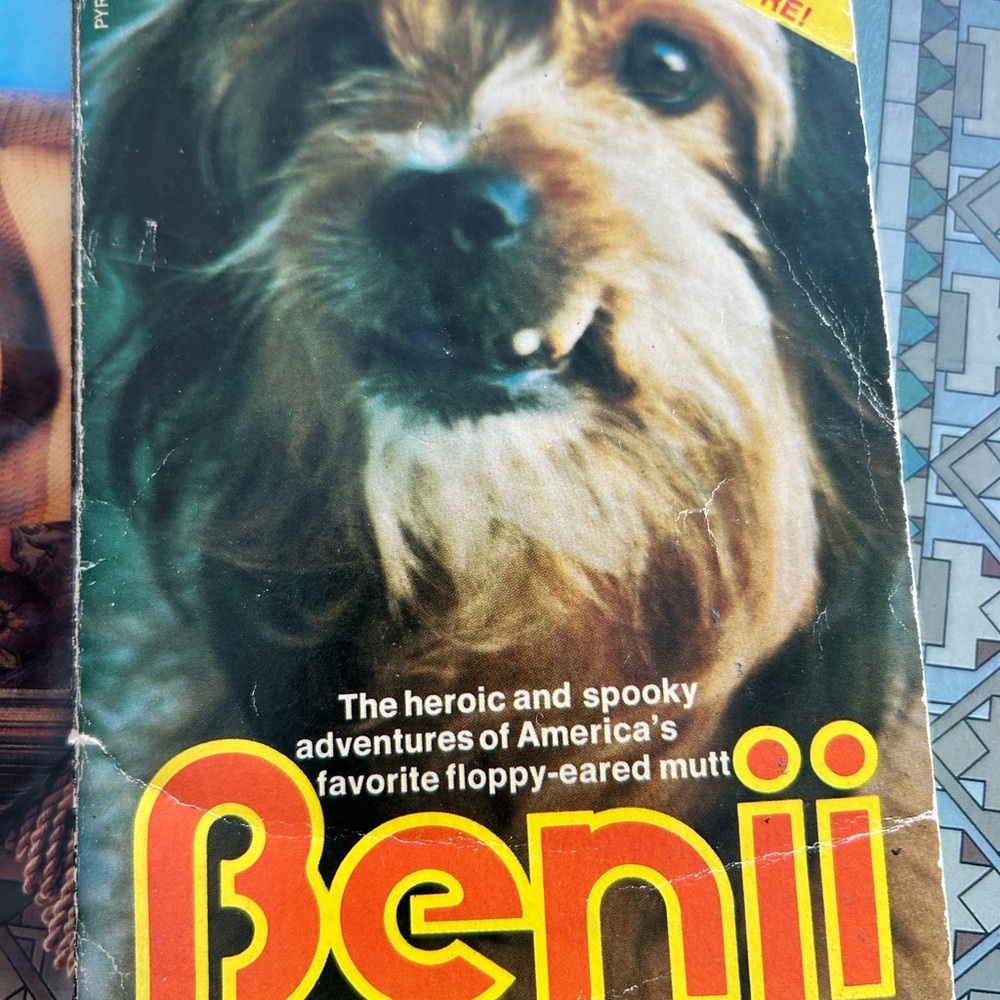 🔥$2 Benji Movie English 1975 book